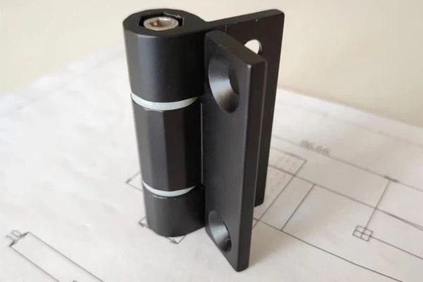 Plastic Hinges